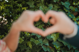 Read more about the article Everything you need to know for a perfect wedding